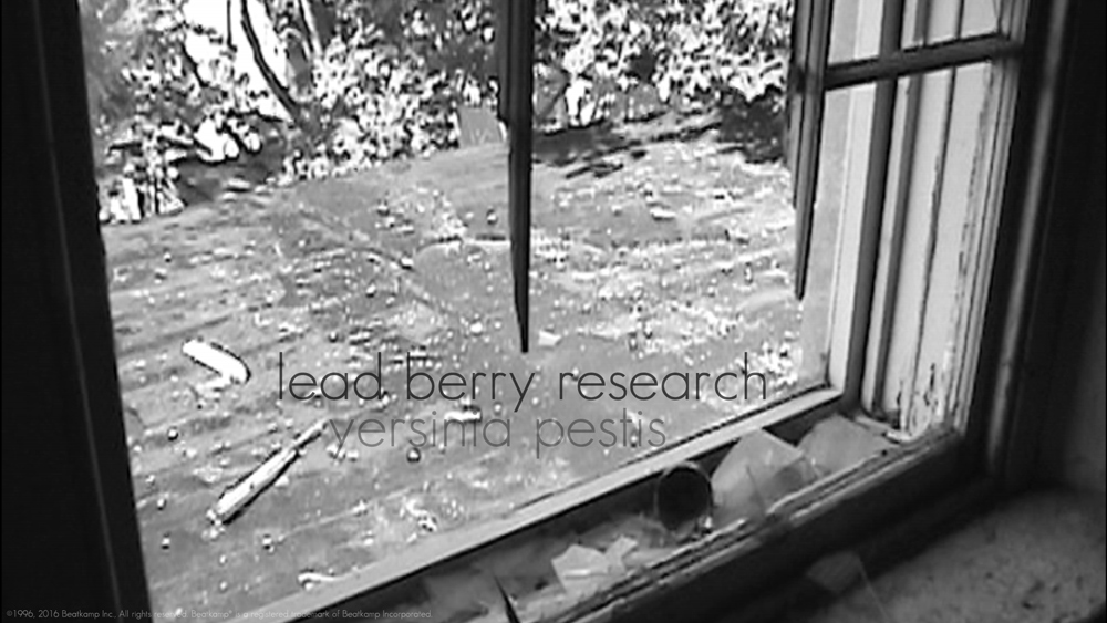 Lead Berry Research Yersinia Pestis Music Video.